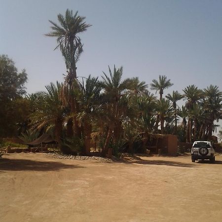 Kasbah Les Alizes Du Desert M'Hamid Eksteriør bilde