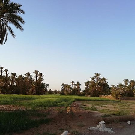 Kasbah Les Alizes Du Desert M'Hamid Eksteriør bilde