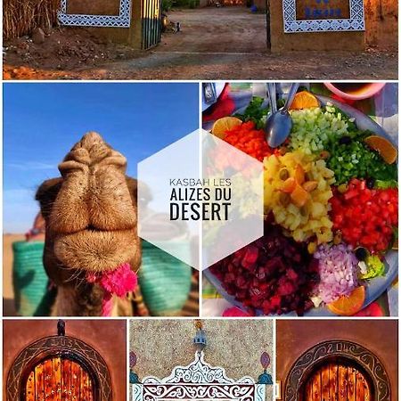 Kasbah Les Alizes Du Desert M'Hamid Eksteriør bilde