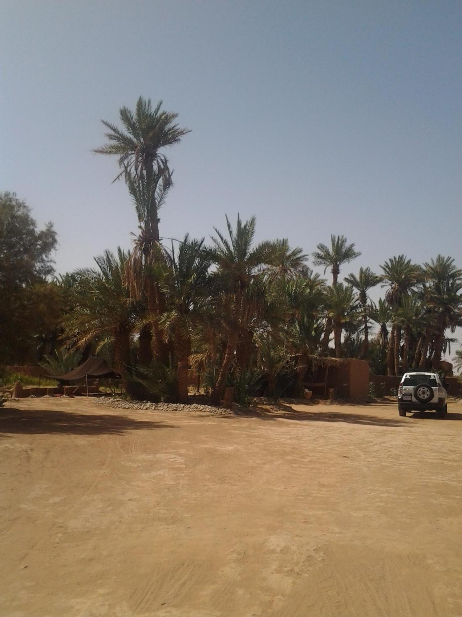 Kasbah Les Alizes Du Desert M'Hamid Eksteriør bilde