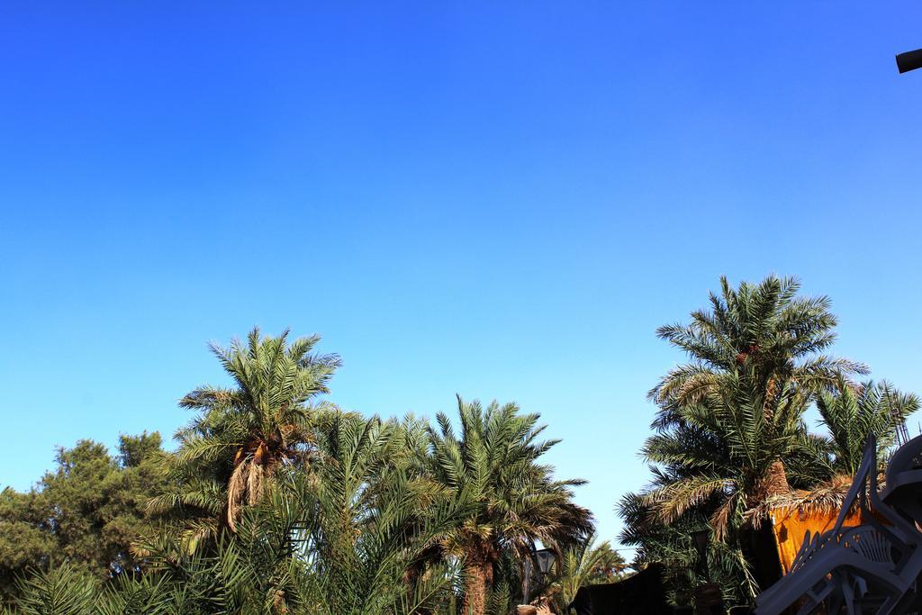Kasbah Les Alizes Du Desert M'Hamid Eksteriør bilde