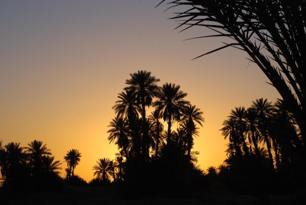 Kasbah Les Alizes Du Desert M'Hamid Eksteriør bilde