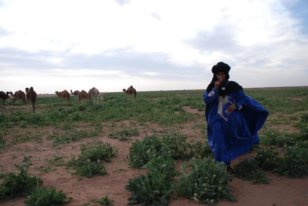 Kasbah Les Alizes Du Desert M'Hamid Eksteriør bilde
