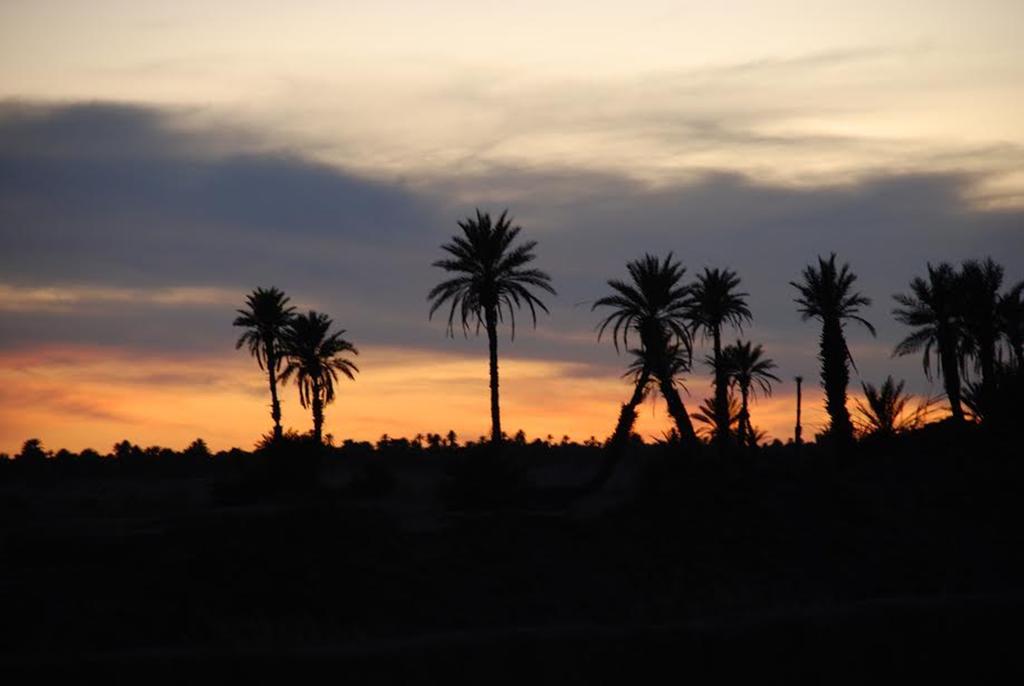 Kasbah Les Alizes Du Desert M'Hamid Eksteriør bilde