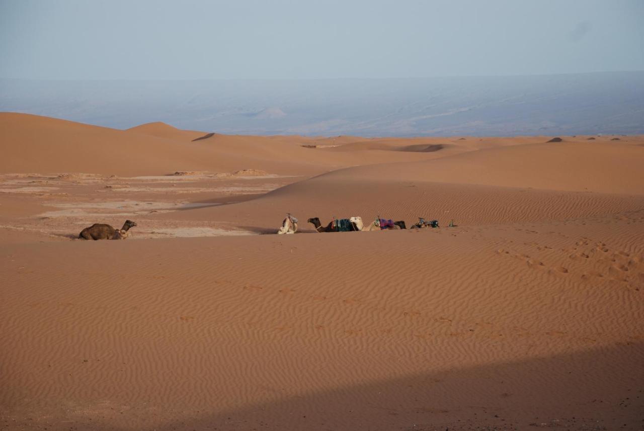 Kasbah Les Alizes Du Desert M'Hamid Eksteriør bilde