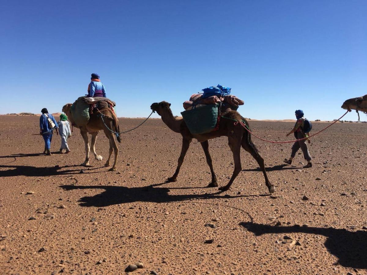 Kasbah Les Alizes Du Desert M'Hamid Eksteriør bilde