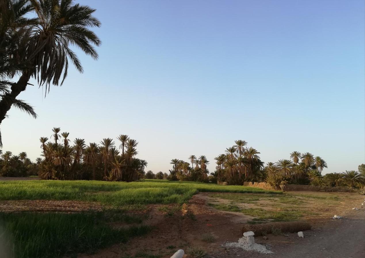 Kasbah Les Alizes Du Desert M'Hamid Eksteriør bilde