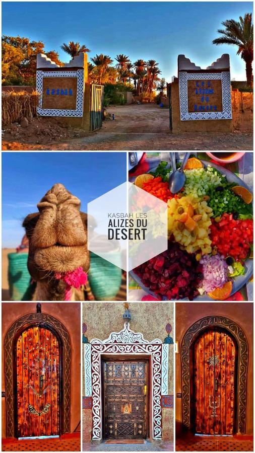 Kasbah Les Alizes Du Desert M'Hamid Eksteriør bilde