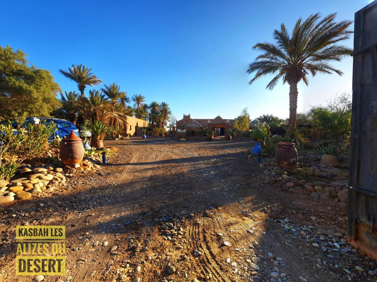 Kasbah Les Alizes Du Desert M'Hamid Eksteriør bilde