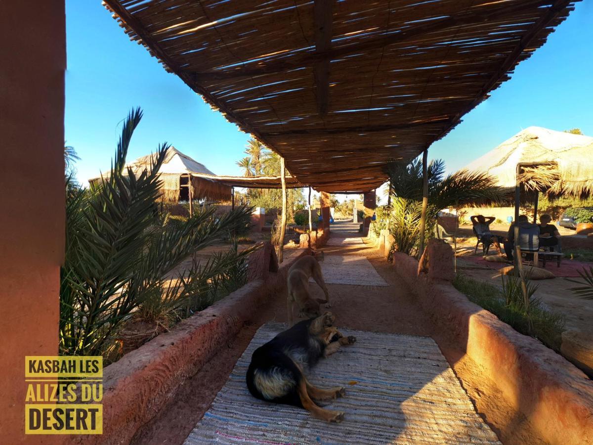 Kasbah Les Alizes Du Desert M'Hamid Eksteriør bilde