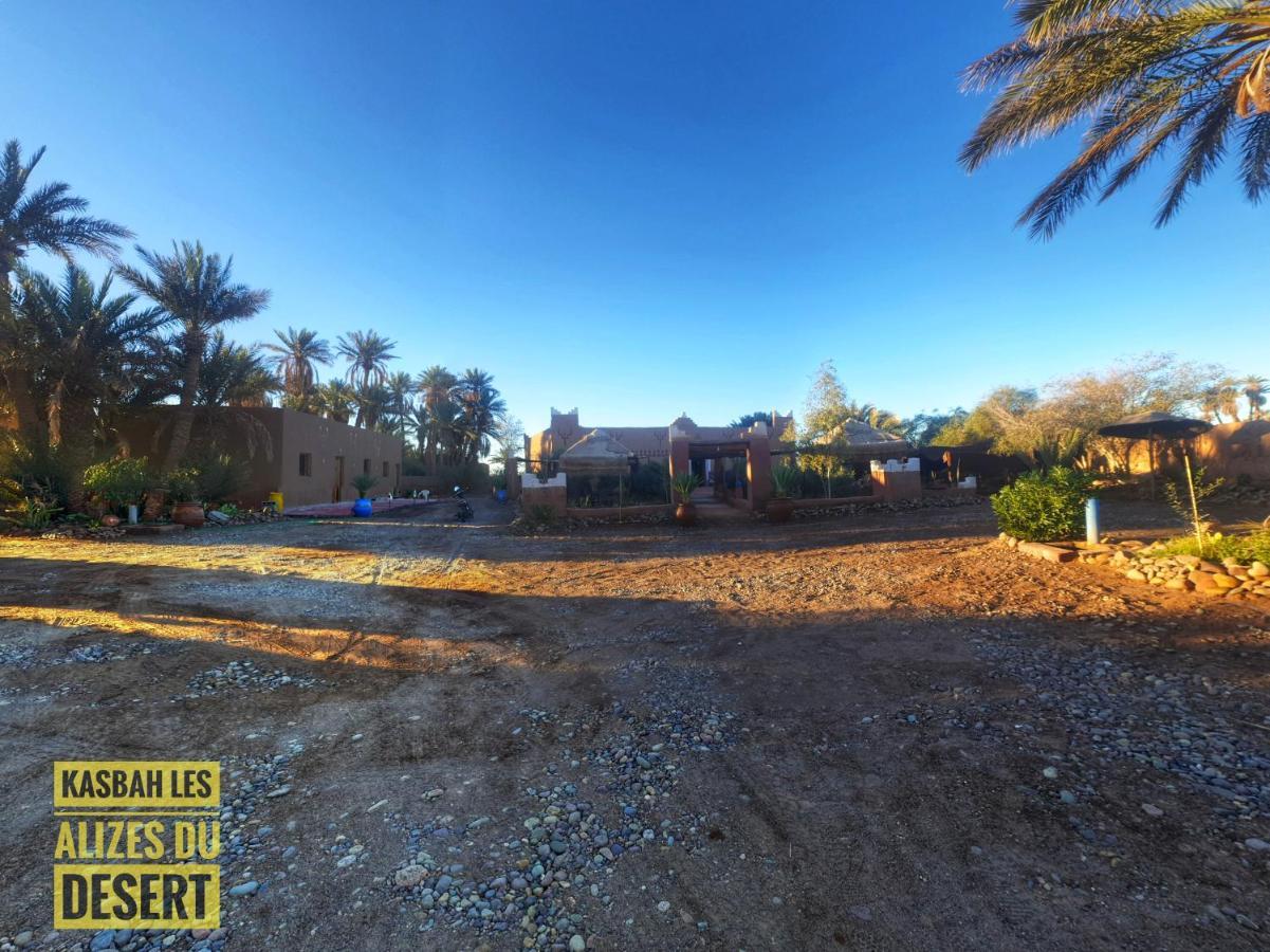 Kasbah Les Alizes Du Desert M'Hamid Eksteriør bilde